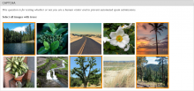 Screenshot of CAPTCHA provided by Image-Recognition CAPTCHA