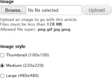 Screenshot showing the image style selector mechanism below an image field