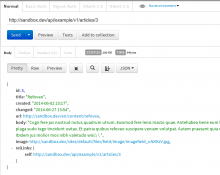 JSON REST response