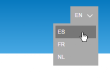 Language Dropdown