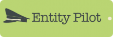 Entity Pilot Logo