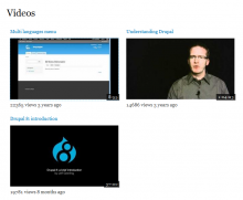 Media youtube extra field formatter demo
