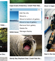 Move to top editor UI