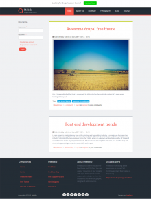 Drupal responsive theme