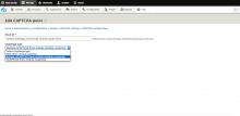 Select a Captcha Type for a form