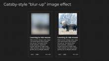 A screenshot showing blur-in functionality of images using Bookish Image.