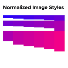 Normalized Image Styles logo