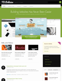 TB Palicico Theme Screenshot Homepage