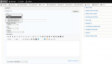 Example of Paragraph Skins dropdown
