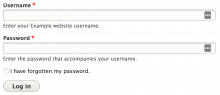 Initial login form