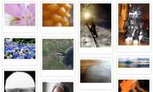 Pinterest Gallery