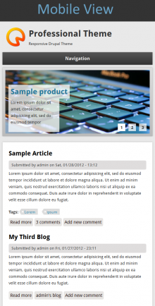 professional theme drupal professional theme drupal