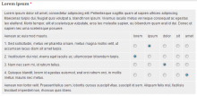 Sample radiogrid form element output