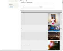 Scald Flickr search by terms