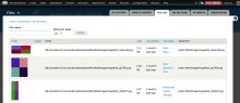 File list screenshot of Workbench Media