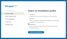 Screenshot of installation screen, at profile selection