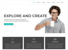 portfolio theme explore single page drupal