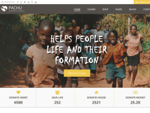 Pachu - NGO/Non Profit Drupal theme.