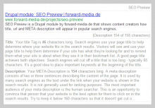 Screenshot: Project SEO Preview