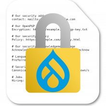 Security.txt module logo