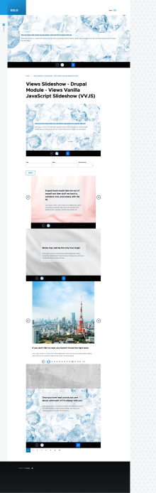 Views Vanilla JavaScript Slideshow (VVJS) Screenshot