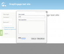 Screenshot of SnapEngage contact widget
