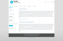 Startup Theme