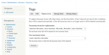 Taxonomy terms replace main form