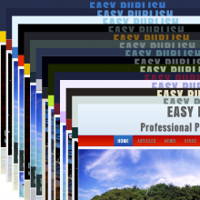 Screen Shot for the 14 subthemes.