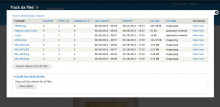 Track da files main report example