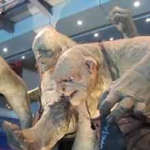 Trolls
