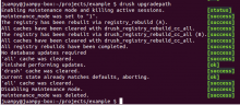 Command output example