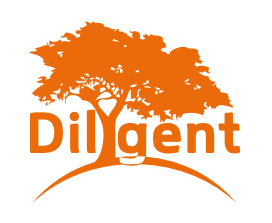 Dilygent IT - Tasteful Software Development