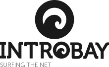 Introbay - Surfing the Net