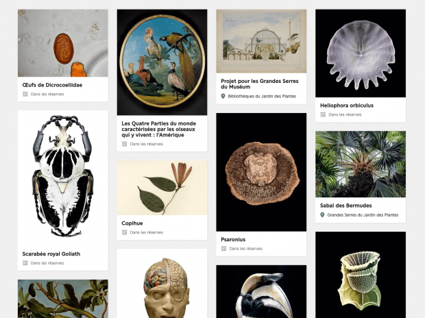 Screenshot of a web page showcasing the Museum collection