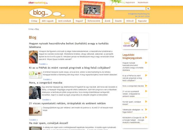 blog design within the website