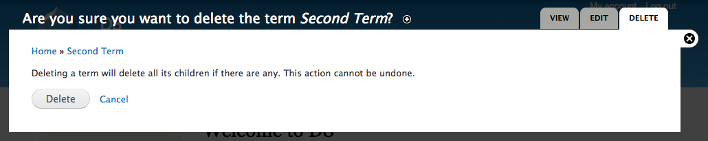 Term delete page. Can delete term.