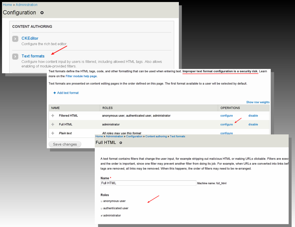 Text Formats